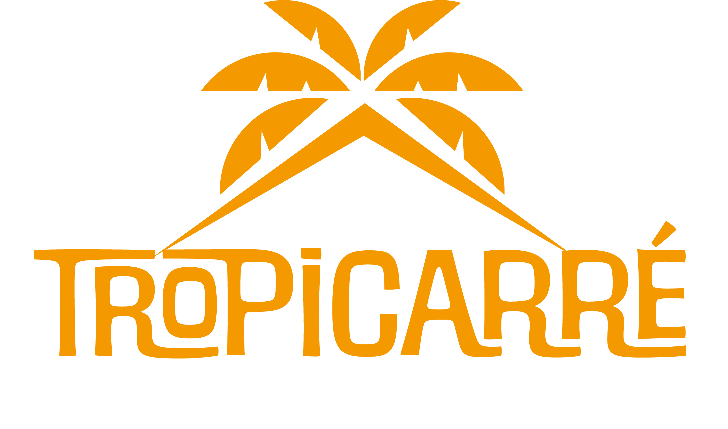 TropiCarré - Site en construction